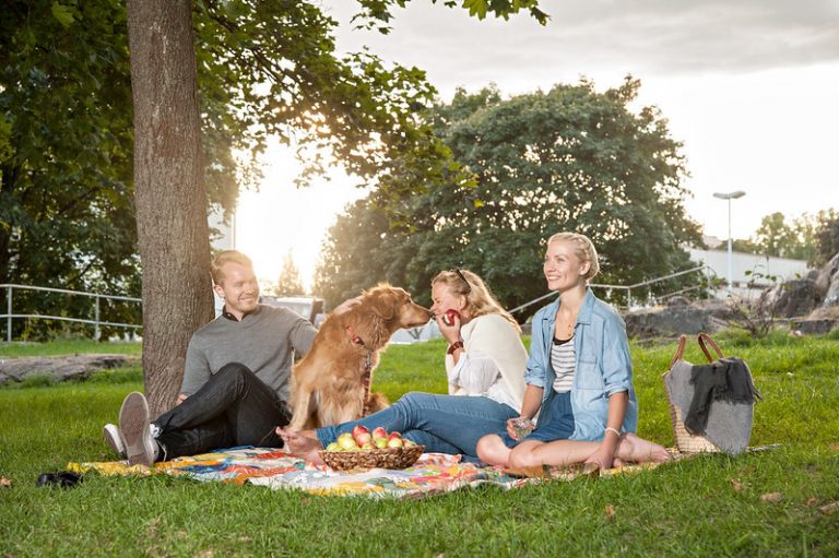 Viihtyisä lähiö